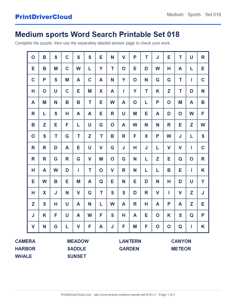 Preview of Medium sports Word Search Printable Set 018