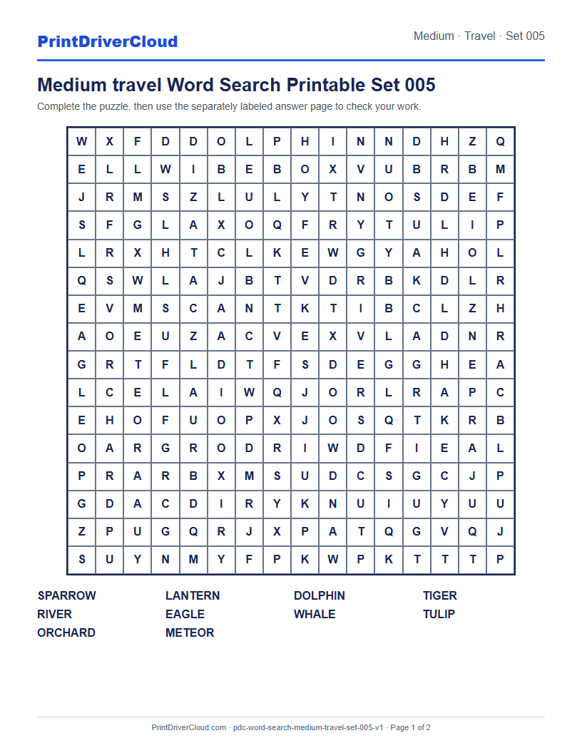 Preview of Medium travel Word Search Printable Set 005
